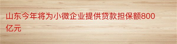 山东今年将为小微企业提供贷款担保额800亿元